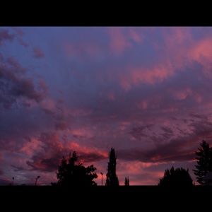 Meet your Posher, Laurel